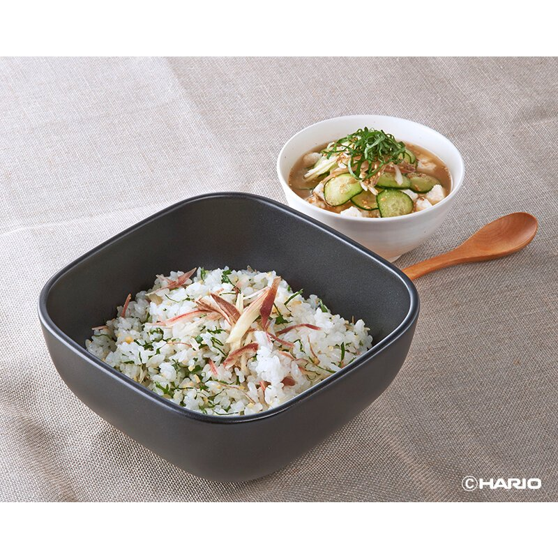 HARIO 萬古燒保鮮飯盒